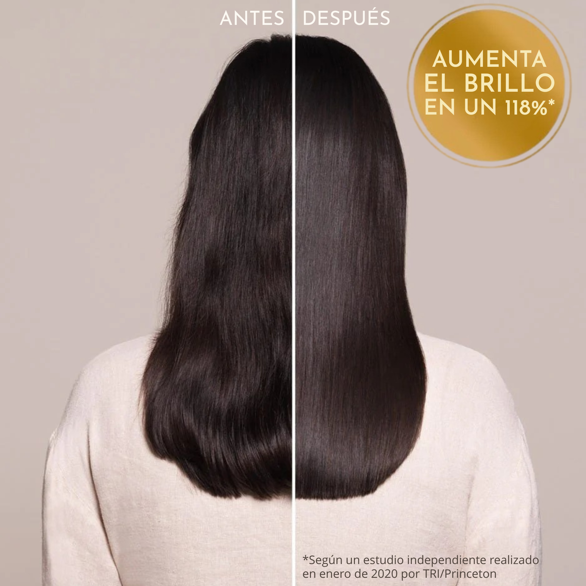 Moroccanoil® — Tratamiento Capilar con Aceite de Argán 100ml