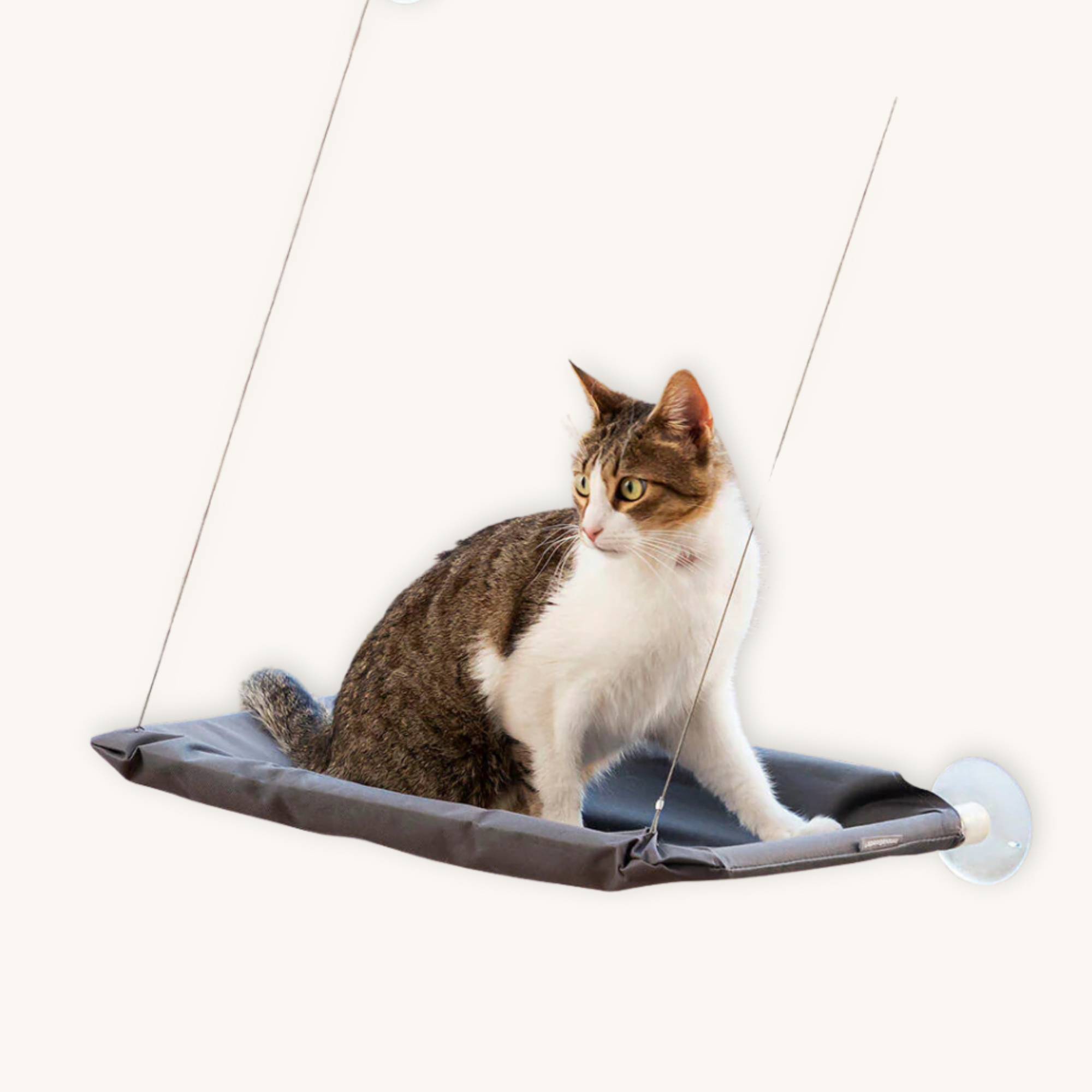 CatLax™ - Hamaca Colgante para Gatos