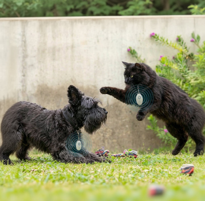 PetRep™ – Antiparásitos por Ultrasonidos Recargable para Mascotas