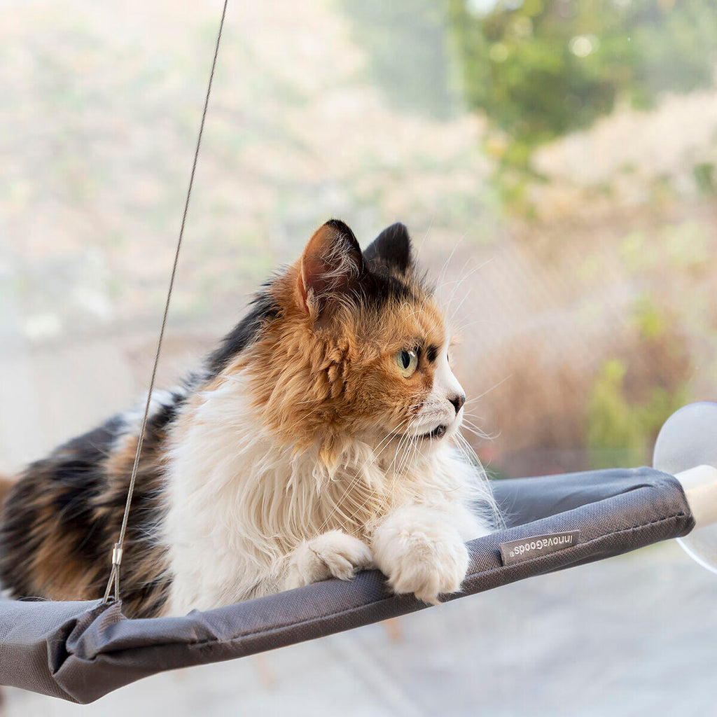 CatLax™ - Rede suspensa para gatos