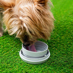 Leashic™ – Correa Retráctil para Perros 6en1