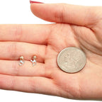 Enchanted Rose™ – Pendientes Plata La Bella y la Bestia · Disney®