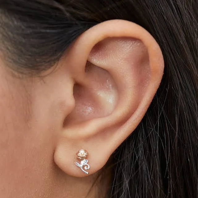 Enchanted Rose™ – Pendientes Plata La Bella y la Bestia · Disney®